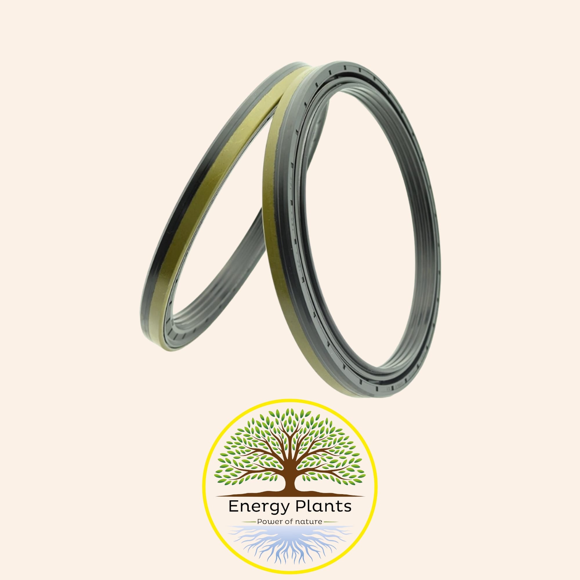 RWDR-Kassette 75x100x13