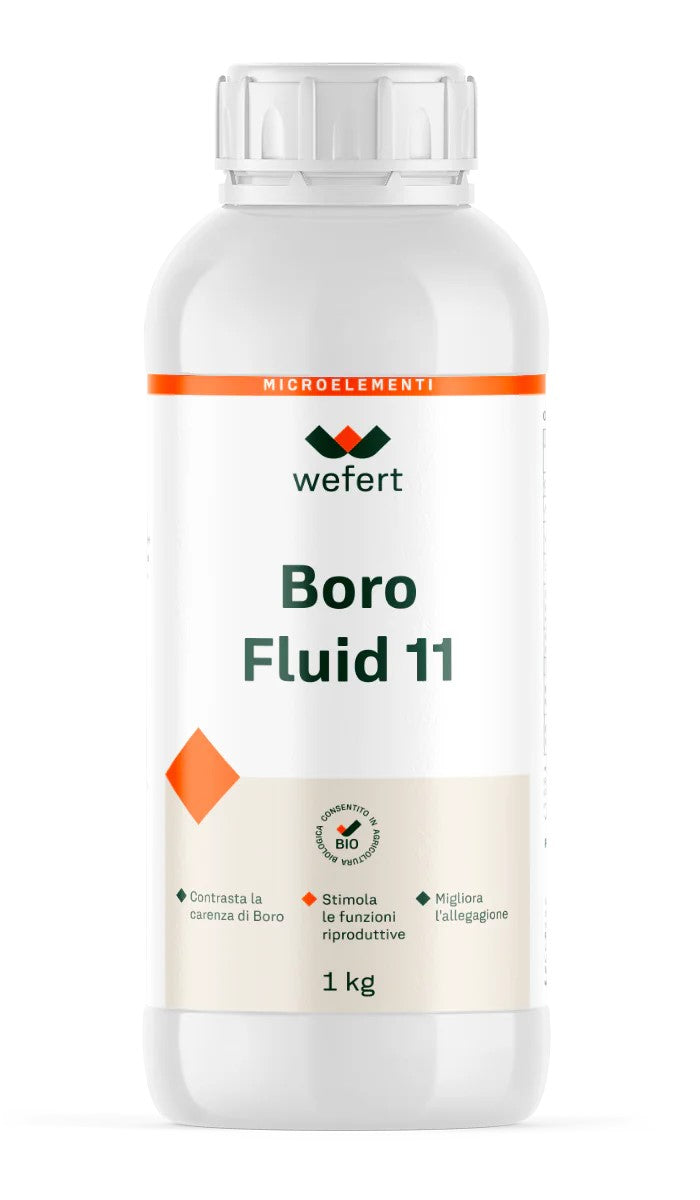 Boro Fluid 11 x kg 6