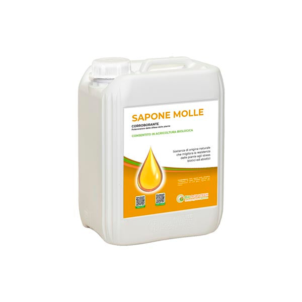 Sapone molle | Bio x kg 10