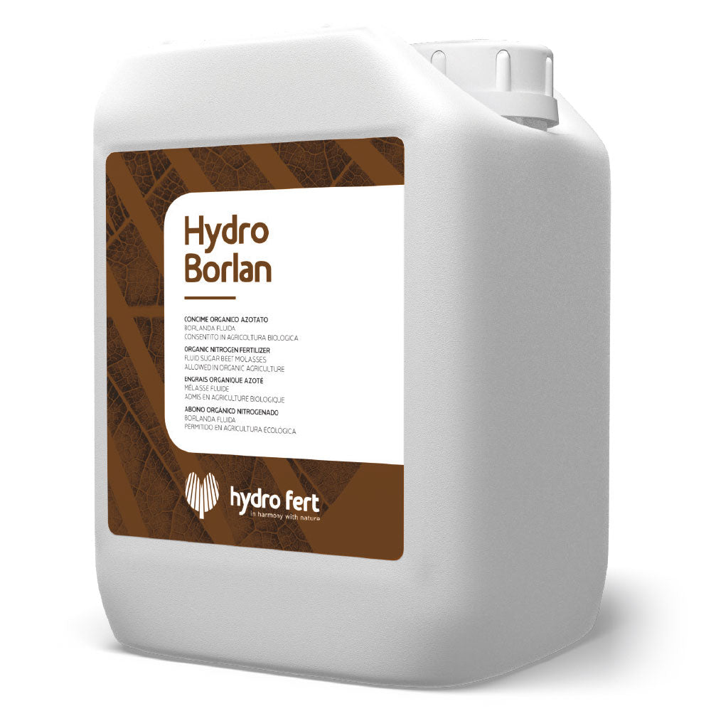 Hydro Borland x lt 20