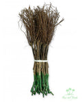BARBATELLE INNESTATE Varieta': MONTEPULCIANO