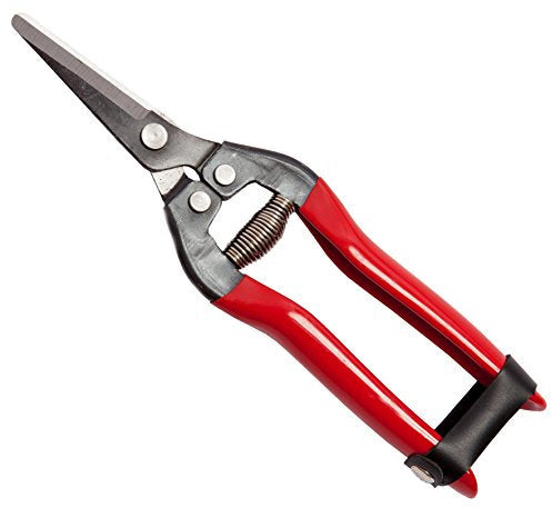 FORBICI UVA FALCI DIRITTE CM. 19