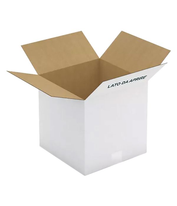 SCATOLA SPEDIZIONE PER LATTINE OLIO 4X5LT  CM30,5X25X31H
